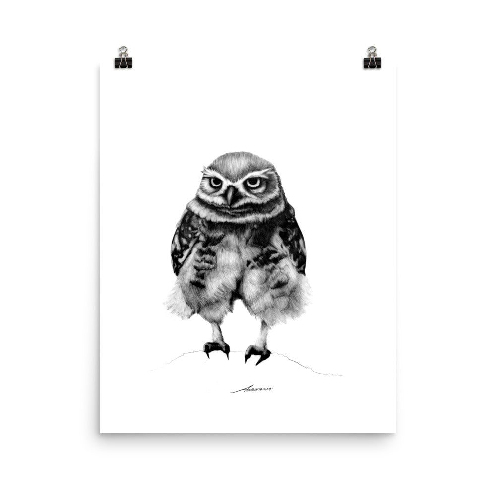 Pants Owl Print