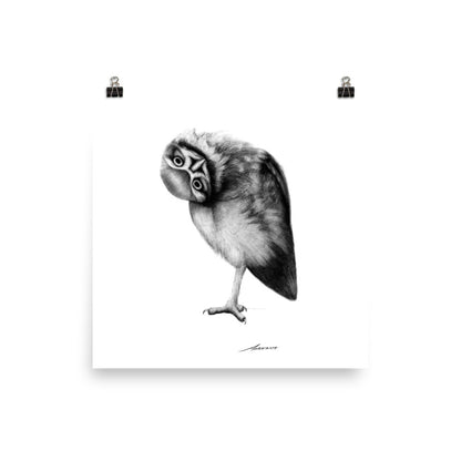 Fred Owl Print