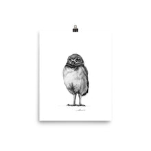Load image into Gallery viewer, Sammy Owl Print