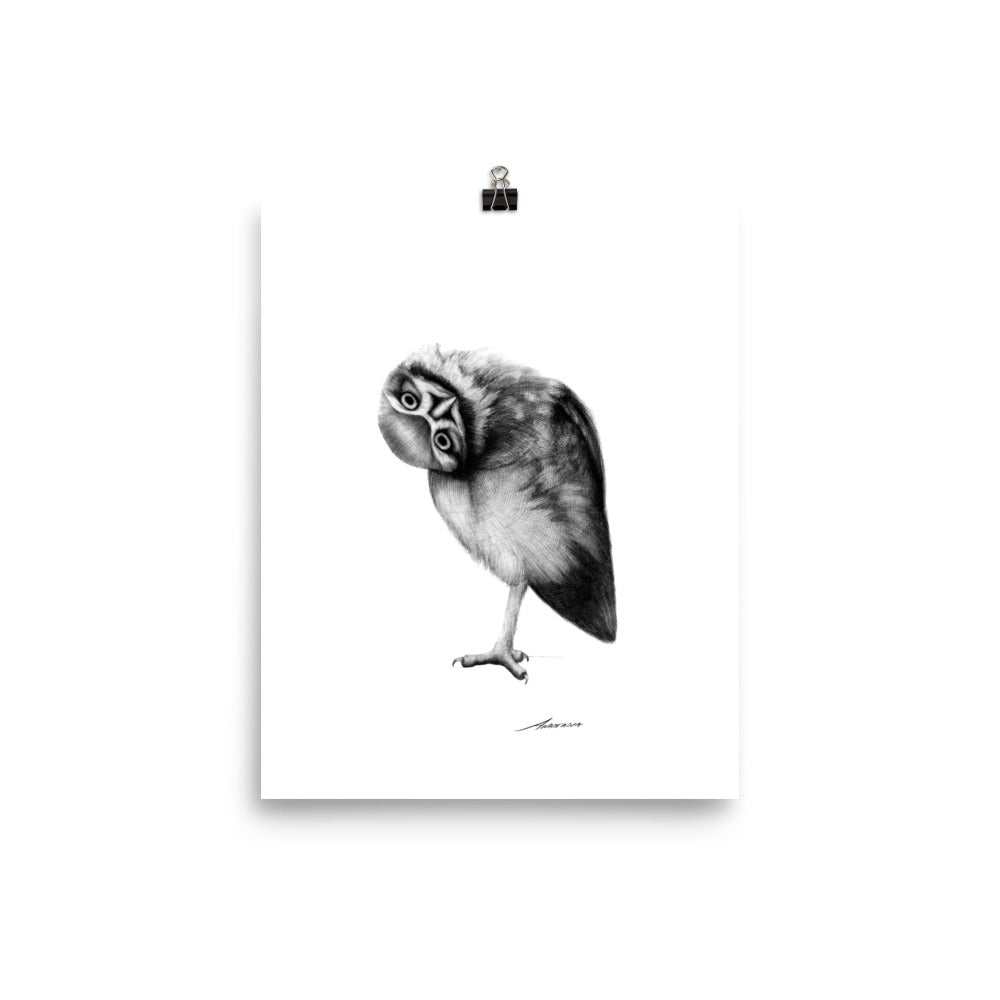 Fred Owl Print