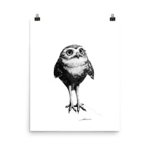 Load image into Gallery viewer, Bop Owl Print