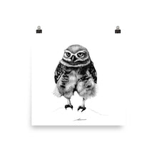 Load image into Gallery viewer, Pants Owl Print
