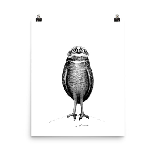 Stand Tall Owl Print