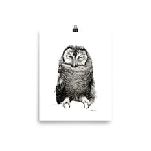Load image into Gallery viewer, Winky Owl Print