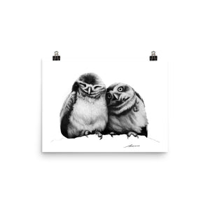 P and Pod Owl Print