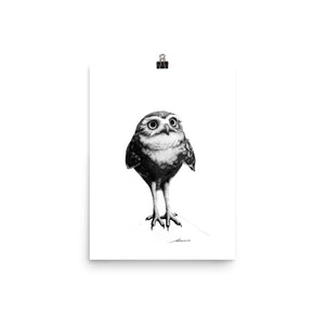 Bop Owl Print