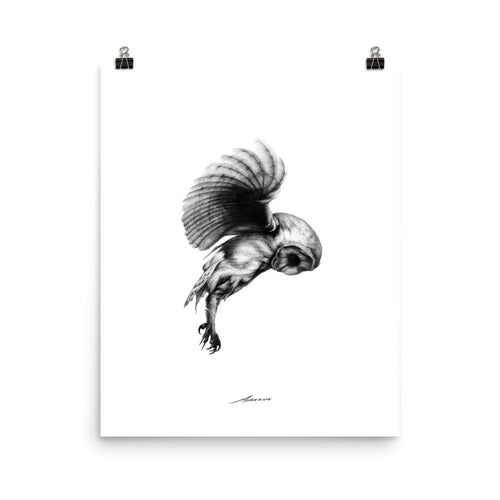First Flight Owl Print