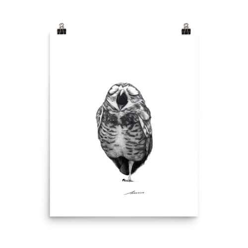 Singing Owl Print