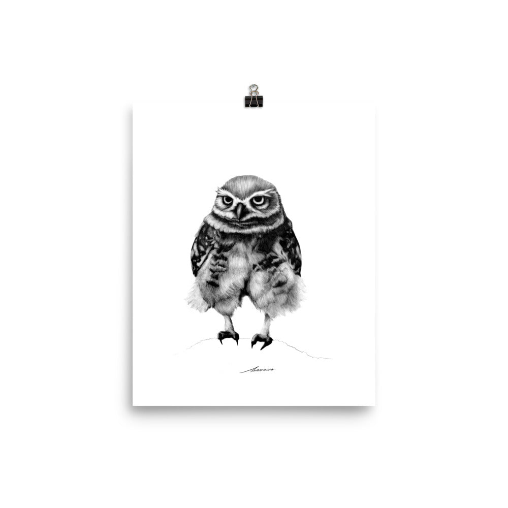 Pants Owl Print