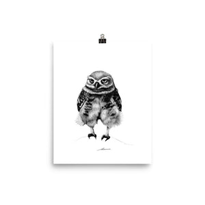 Pants Owl Print
