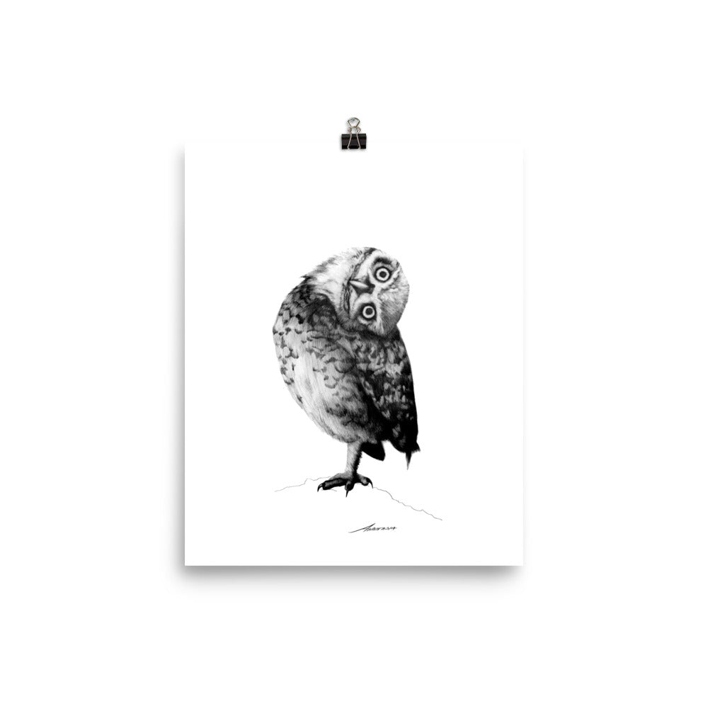 Peter Owl Print