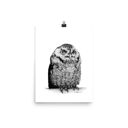 Richard Owl Print