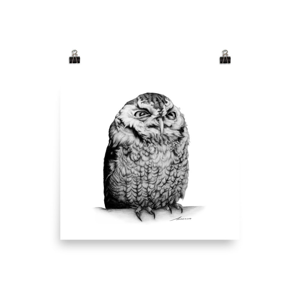 Richard Owl Print