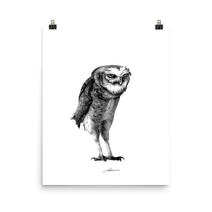 Darius Owl Print
