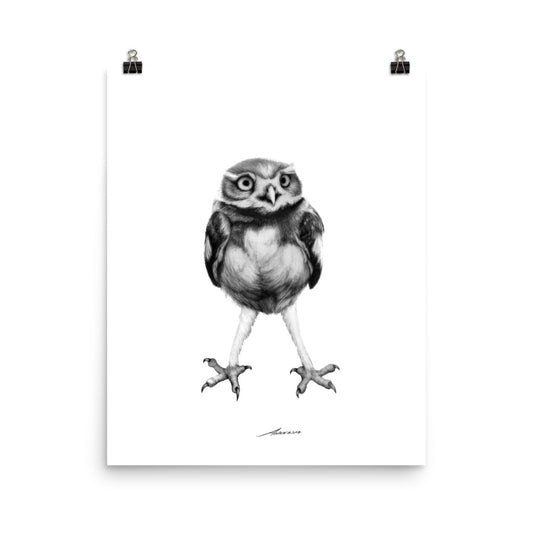 Legs Owl Print