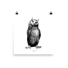 Load image into Gallery viewer, Nolan Owl Print