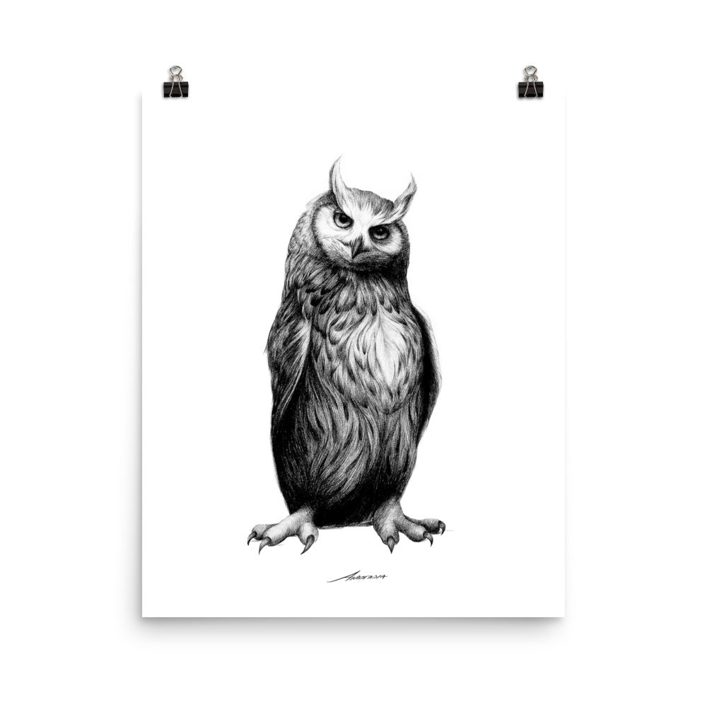 Nolan Owl Print