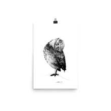 Load image into Gallery viewer, Peter Owl Print