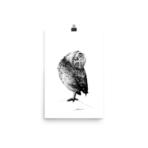 Peter Owl Print