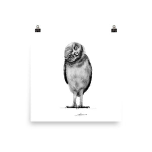 Curiosity Owl Print