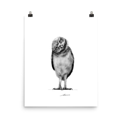 Curiosity Owl Print