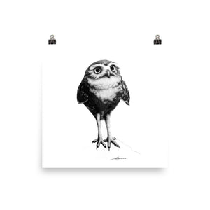Bop Owl Print