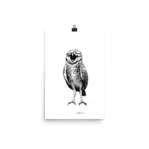 Hester Owl Print