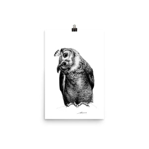 Elsa Owl Print