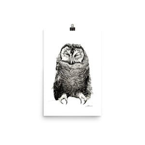 Winky Owl Print