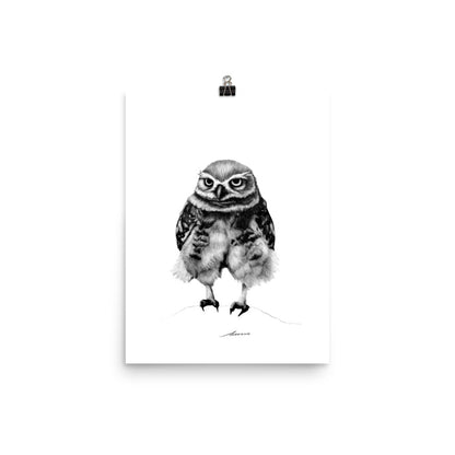 Pants Owl Print