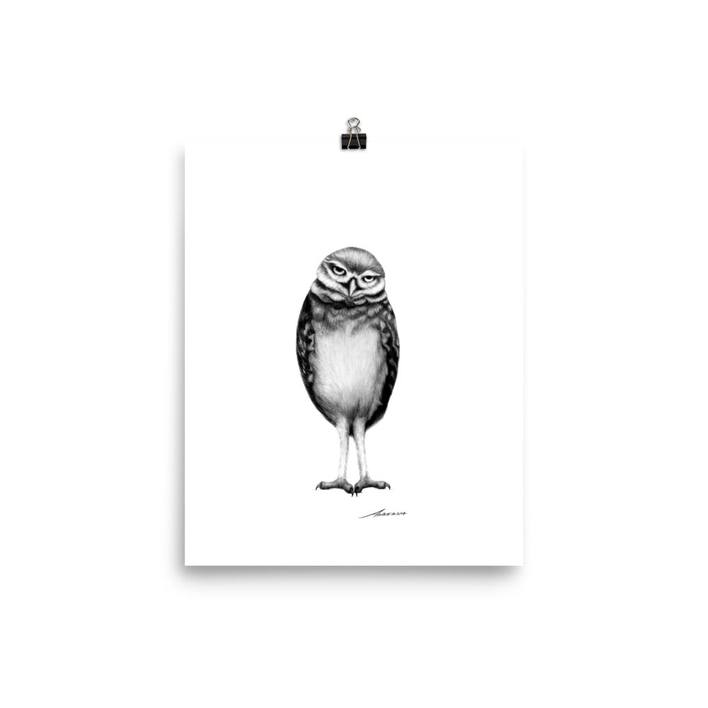 Spencer Owl Print