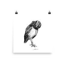 Load image into Gallery viewer, Perspective Owl Print