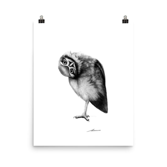 Fred Owl Print