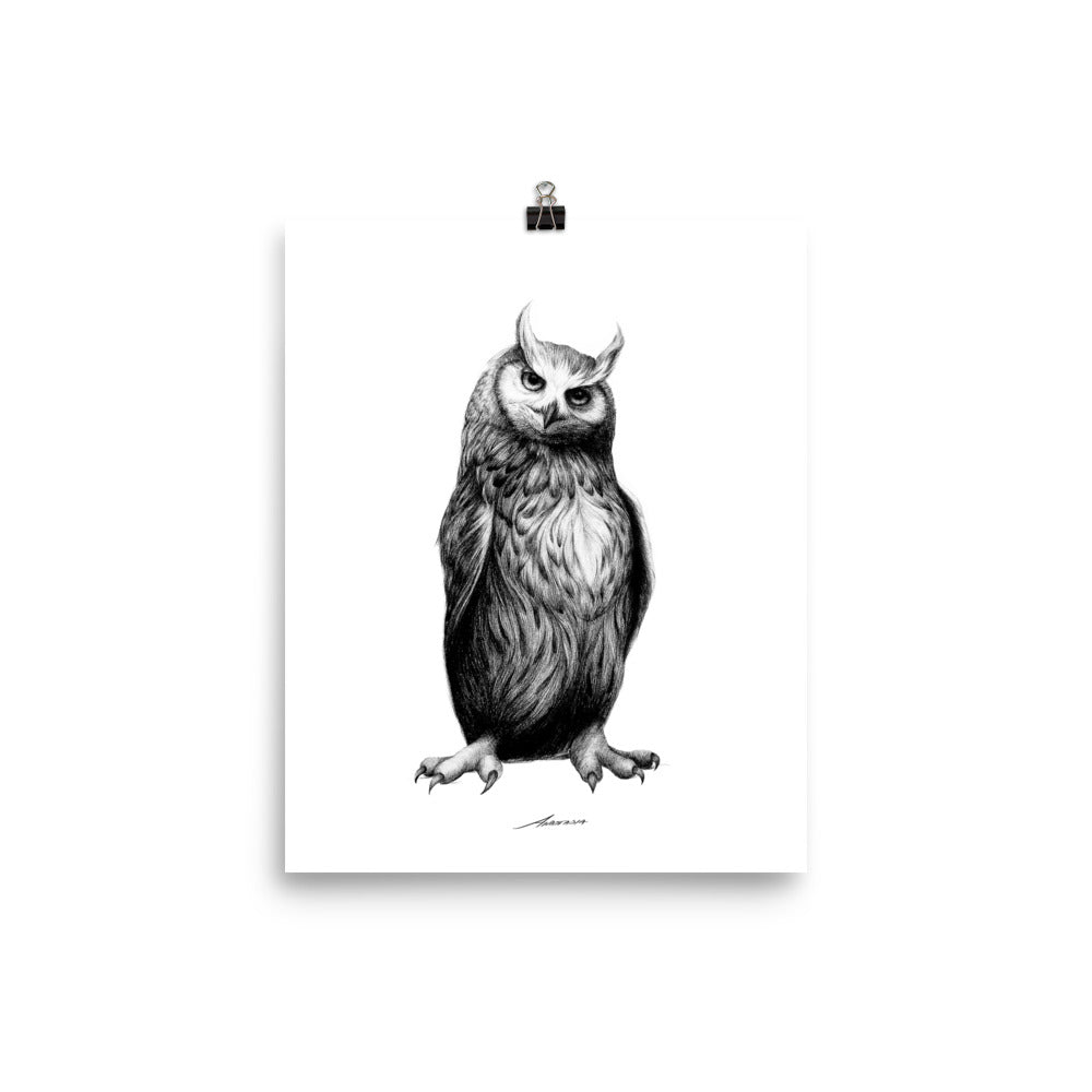 Nolan Owl Print