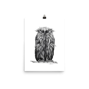 Oscar Owl Print