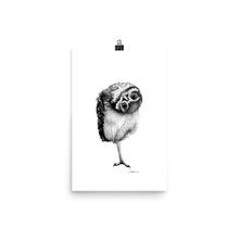 Load image into Gallery viewer, Awkward Owl Print